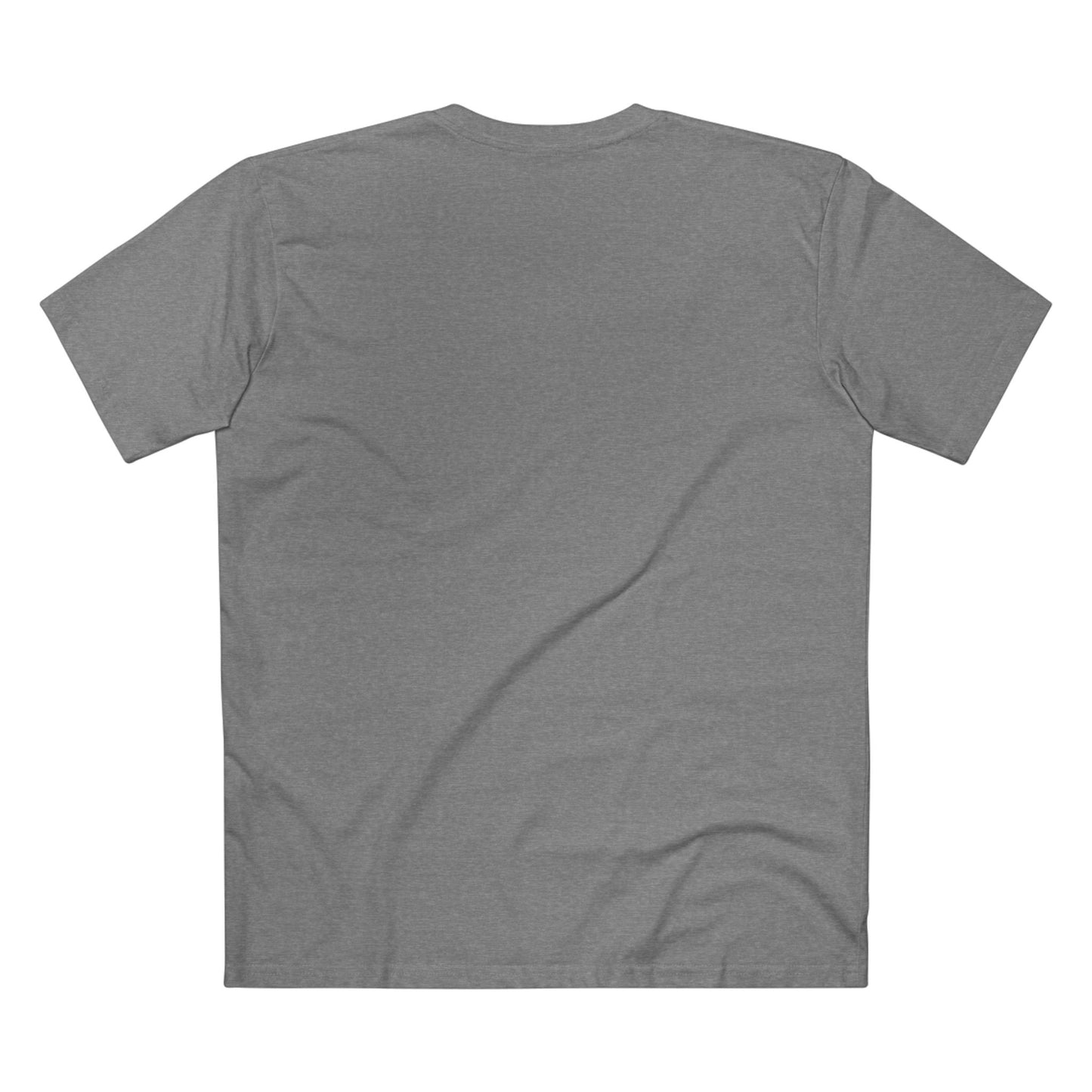 Springboks Rugby Logo Tee — Vintage Springboks Since 1906 Team Shirt